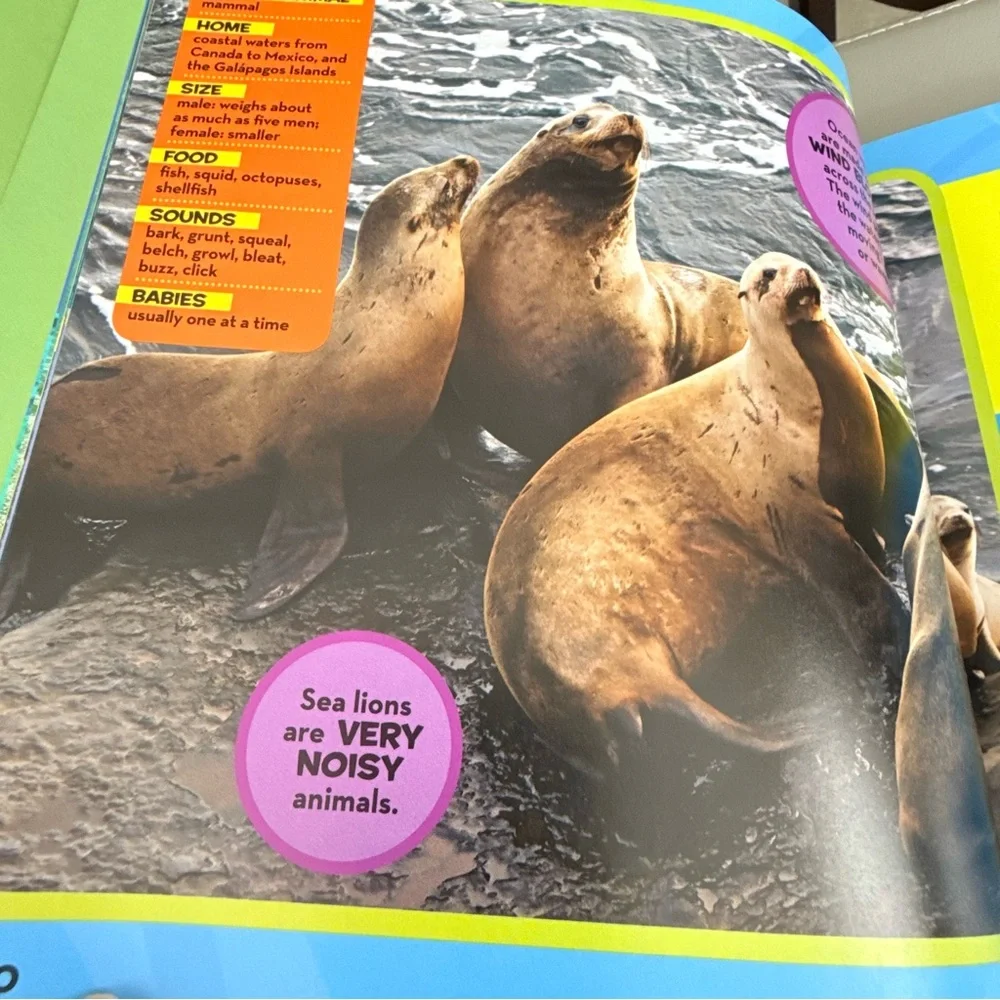 National Geographic Kids First Big Book of the Ocean Hardcover Catherine Hughes